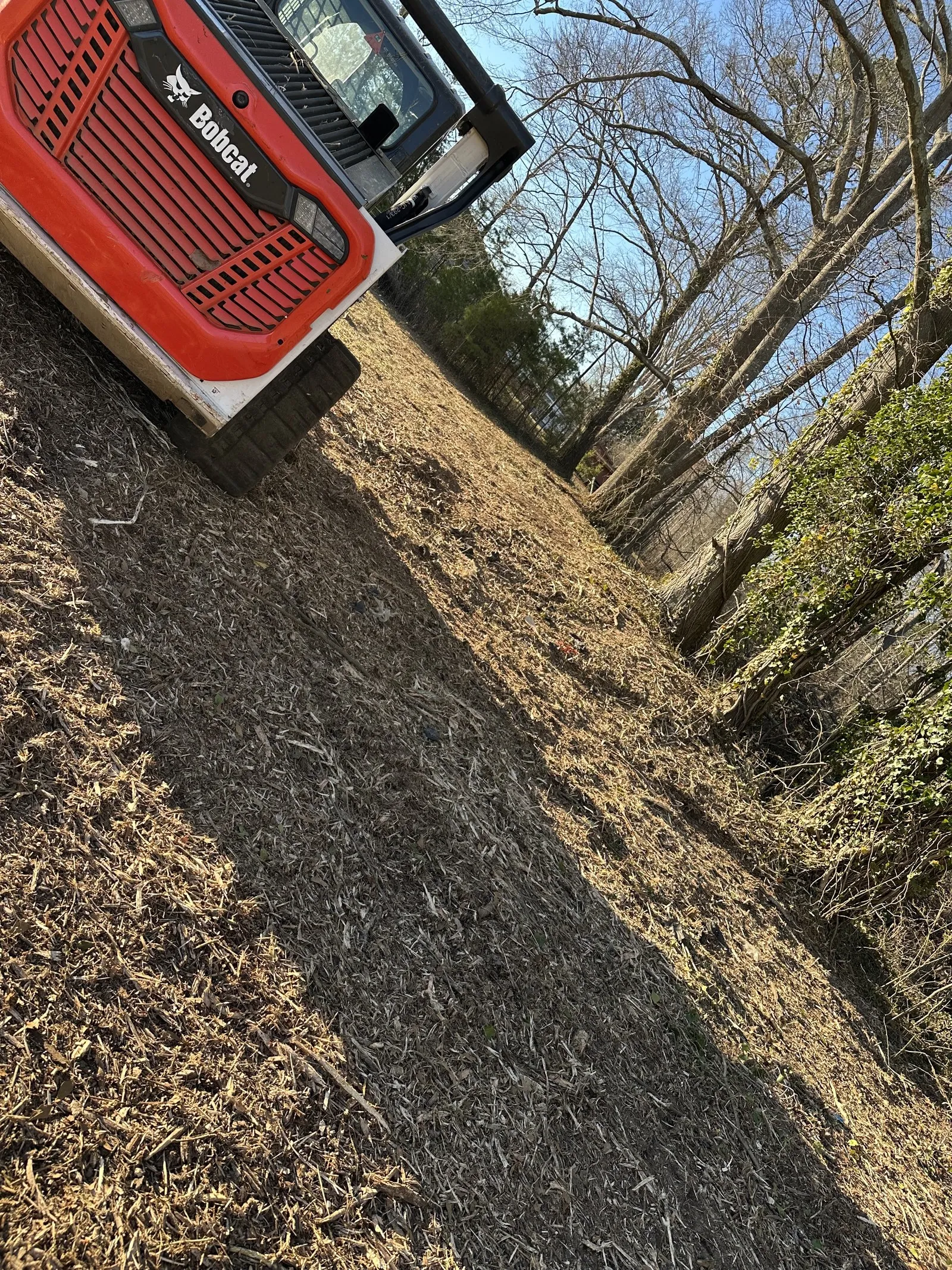 Forestry Mulching in Shelby, NC
