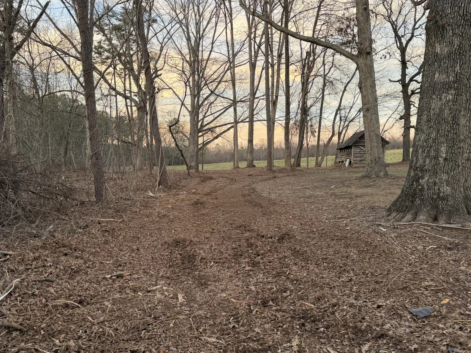 Land clearing and forestry mulching in Polkville, NC