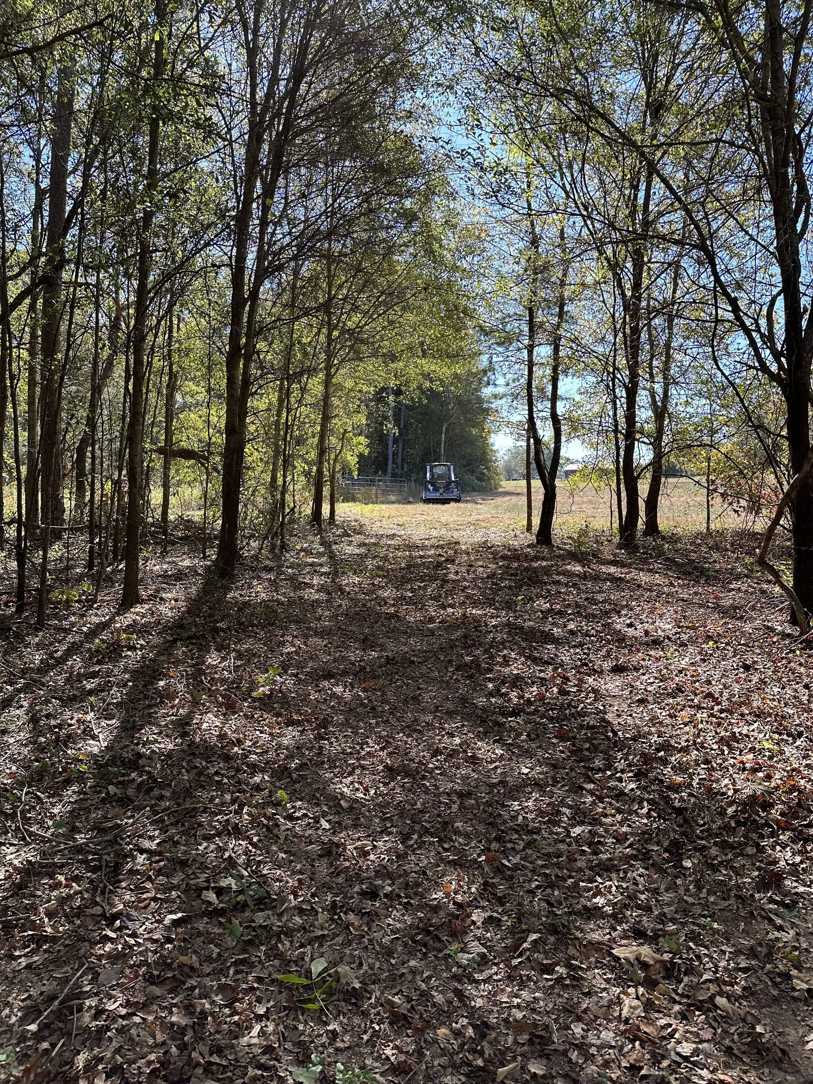 Hunting Land & Food Plots in Shelby, NC